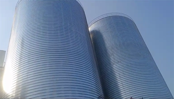 赣县2座混凝土高架卷板仓